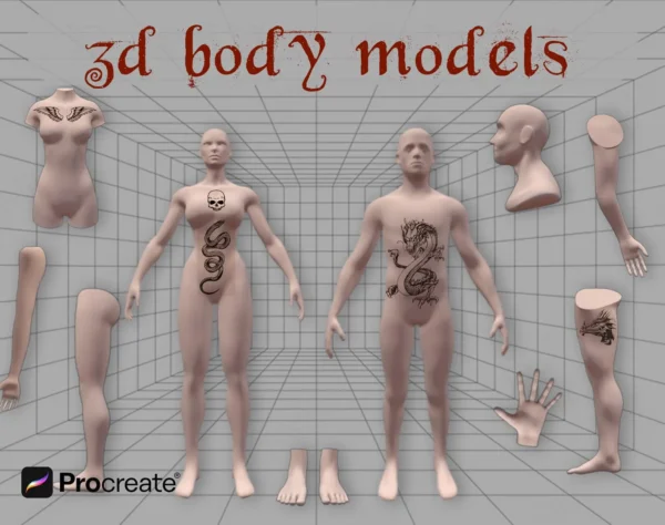 3D Human Models Set for Procreate: Male & Female Figures + 15 Skin Tones for Realistic Tattoo Design - Image 3